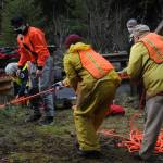 Ropes and pulleys are used to help rescuers bring the victim to the highway from the bank of the river. He was then loaded into the Forks ambulance and taken to FCH, and later airlifted to Harborview.