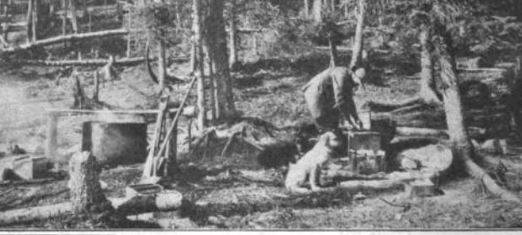 Cone and his dog at their camp in Alaska, Sunset Magazine 1922.
