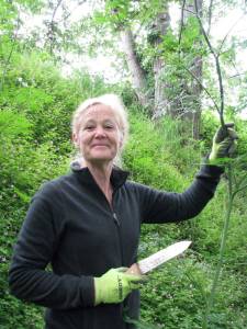 Cathy Lucero, Clallam County Noxious Weed Control Board Coordinator presents Bee Spaces, Hiding in Plain Sight via Zoom on Thursday, May 13, 2021 beginning at noon. Photo Credit: Archived Photo