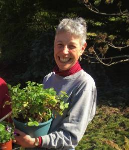 Veteran Master Gardener and berry enthusiast, Jeanette Stehr-Green, instructs gardeners on growing strawberries Saturday, June 19 from 10:30 a.m. to 12:00 noon, via Zoom. Submitted Photo