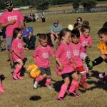 The Pink Panthers were in no way scared of the sting of the Bumble Bees.