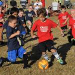 The Blue Dragons were immune to the bite of the Spiders in red.