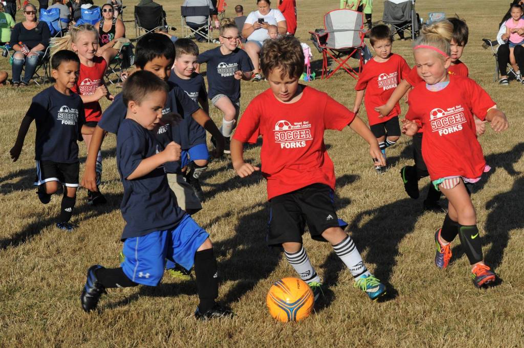 The Blue Dragons were immune to the bite of the Spiders in red.