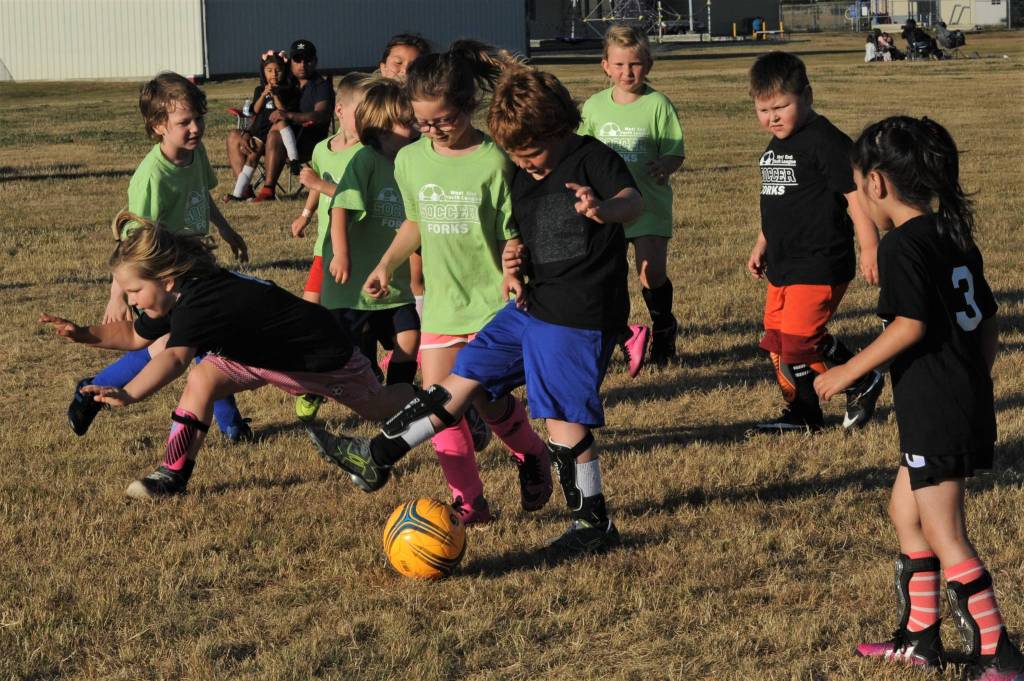 The Black Bears scared the heck out of the Gators but the Gators in green fought back you see.