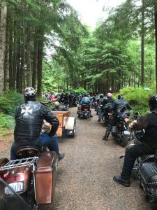 Rainforest Run activities from 2019.