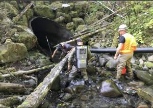 Excavation to the existing culvert (bottom right) underneath the new Canyon Creek Bridge.
Peninsula Environmental Group performing fish capture and removal in the Canyon Creek work area. Photos FHWA