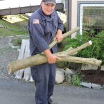 Scott DePew with the Scotch Broom tree!