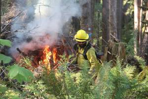 Prescribed burn activity from 2016. Forks Forum Archives