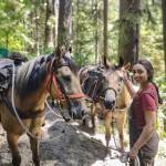 PNTA crew member Alina takes a few moments to thank the pack string that carried their supplies fifteen miles down the Bogachiel Trail to the crews backcountry worksite.