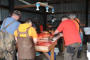 Pacific Coast Salmon Coalition volunteers fillet Coho for the Forks Food bank.