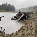 Revegetation area. Photos FHWA