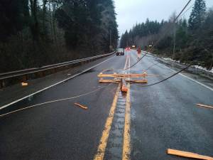 Power poles down near Undi Road on Sunday knocked out power to residents south of Forks.