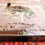 Plaque set by The Sons of Liberty on-site where Liberty Tree stood. Inscription: Sons of Liberty 1766 Independence of our Country 1776
