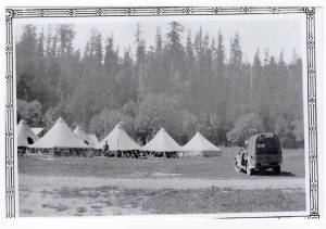 Army Mule Train encampment at Olesens farm (now Barbara Hulls) in April 1942. Local residents reported that as many as 800 mules and a thousand men passed through the area on their way to Ozette. Their lasting legacy was Canadian thistle. (Brow family photo)