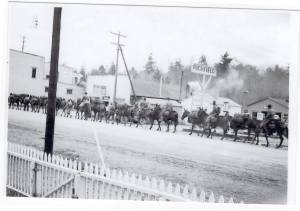mules