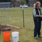 Shirley Lorentz, US Forest Service, describes the process of planting the two elms that will call Tillicum Park home. City of Forks crew members had prepared the area and Lorentz was assisted in planting by Matt Perry, WA - DNR. No watering was needed …it started raining just as the planting began. Two additional Elms were also planted near the Forks Elementary School.
