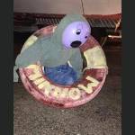 Tribute to Gilligans Island?