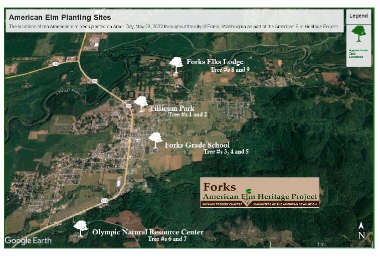 Elm locations in Forks.