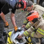 Firemen prepare to load the dog into a vehicle after its rescue from the banks of the Sol Duc River. Photo by Lonnie Archibald