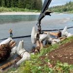 ICI constructing an Engineered Log Jam at MP 4.
