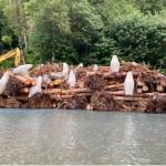 The first completed Engineered Log Jam of 2022. Photo source FHWA