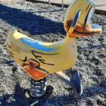 At left, the twenty-five-year-old scary duck has seen thousands of hours of play and has earned a well-deserved retirement! Submitted photo