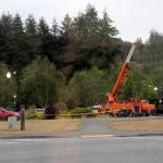 Last Wednesday the City of Forks Public Works Crew worked to put new lighting at the Gold Star Families Memorial at the Forks Transit Center. At about 11:15 a.m. it got so dark that the street lights at the Transit Center have come on, just before some thunder, lightning, and rain. Volunteers had previously dug trenches and installed the needed wiring. Photo Christi Baron