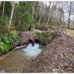 Elk Creek conveyance project.