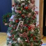 #11 Chairmans Choice