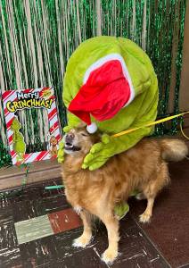 Greeting the Grinch with a smile!