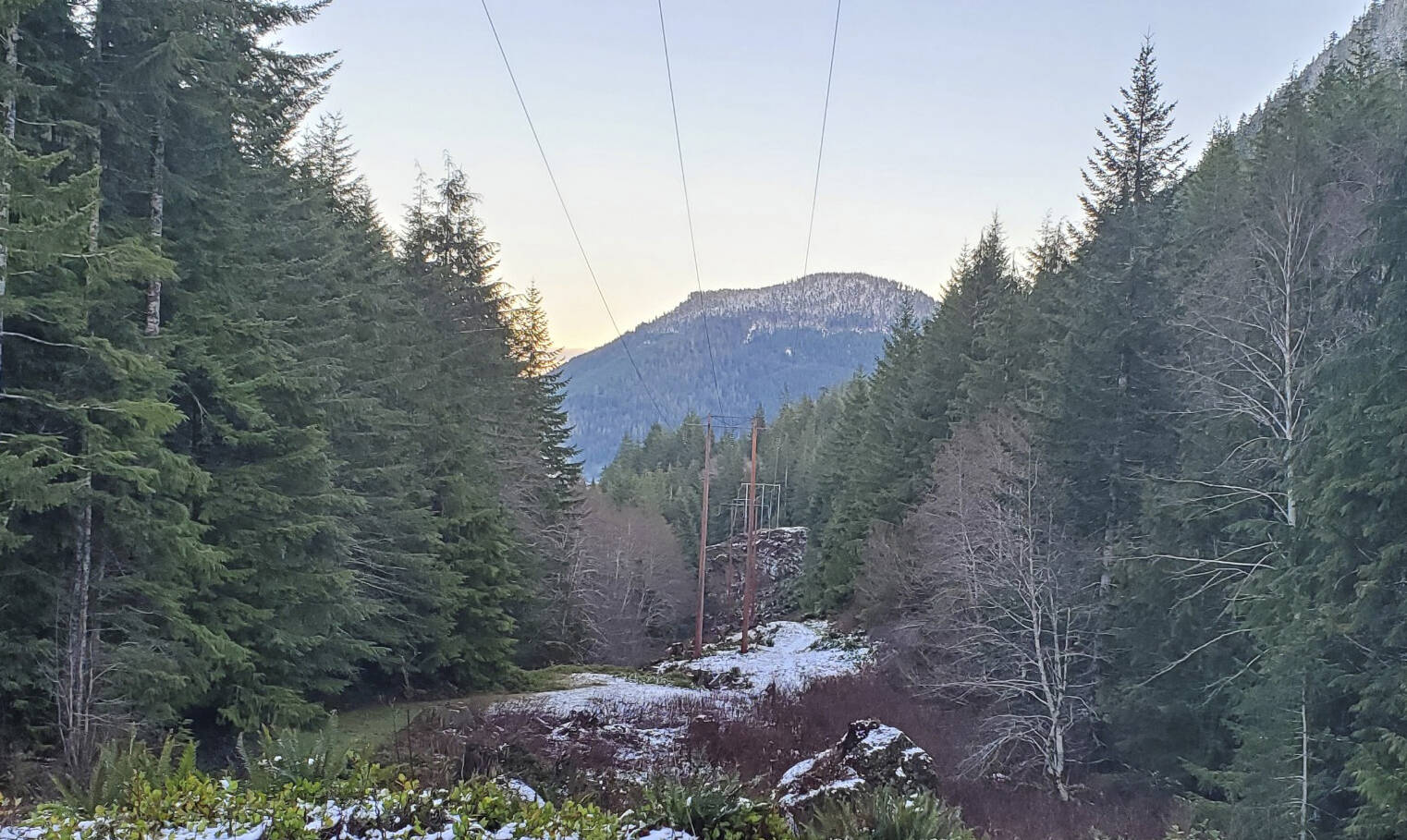 BPA lines, center of this photo, near the Bear Creek - West Twin area easement run through some rugged country. Submitted photo