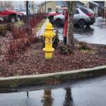 Water loss continues to be a top project for the city. In addition to underground leaks, this hydrant was found to be leaking and was replaced. City of Forks photo
