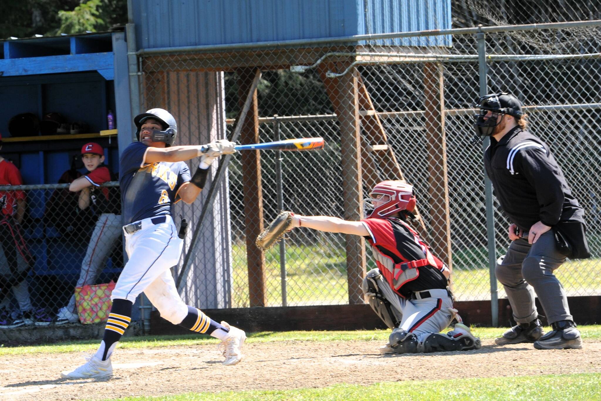Spartan Bubba Hernandez hit an average of 491 with 18 runs batted in for the season. Bubba was named to the 2B Pacific Leagues first team. Photo by Lonnie Archibald