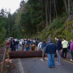 A group of bystanders worked to move a fallen tree from the roadway around Lake Crescent last week. Photo by Gustavus Aronson