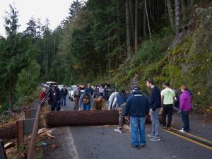 A group of bystanders worked to move a fallen tree from the roadway around Lake Crescent last week. Photo by Gustavus Aronson