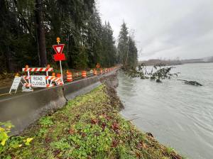 The Upper Hoh Road is closed at milepost 9.7 after heavier flows eroded pavement. Photo Terry Breedlove