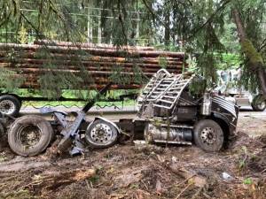 Photo shared by Michael Allen on Facebook. Photo taken after the logs were removed.