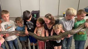 Forks Elementary students got up close with slithery, slimy creatures recently. The creatures came in all sizes, including this large jumbo-size snake and ….