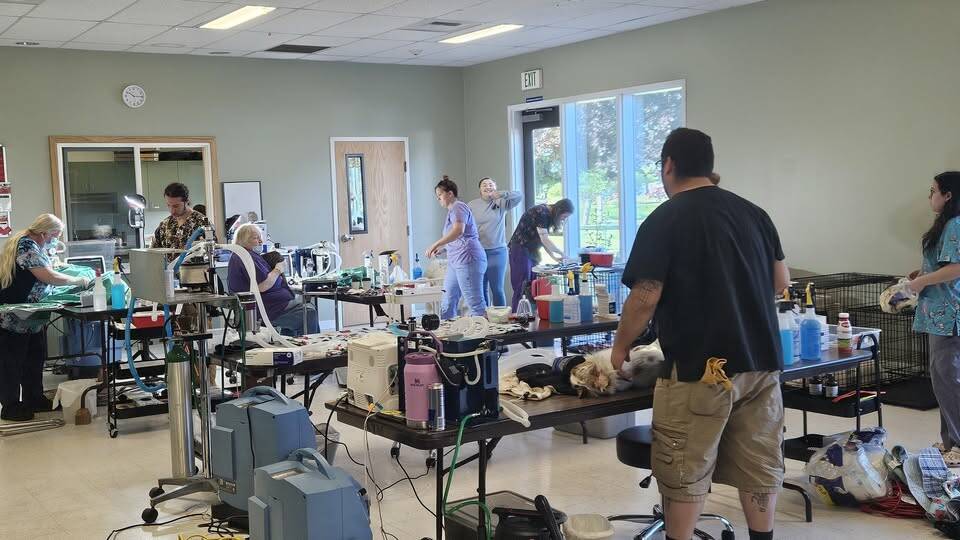 Submitted photo
Dr. Pat and Dr. Johnson, and staff perform spays and neuters at the Community Center.