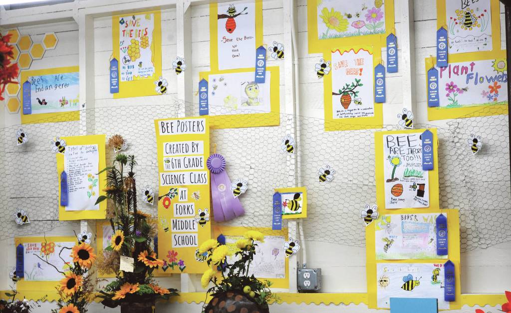 This display was entered in the floral building by Kim Kearns Forks Middle School Science club 6th graders.