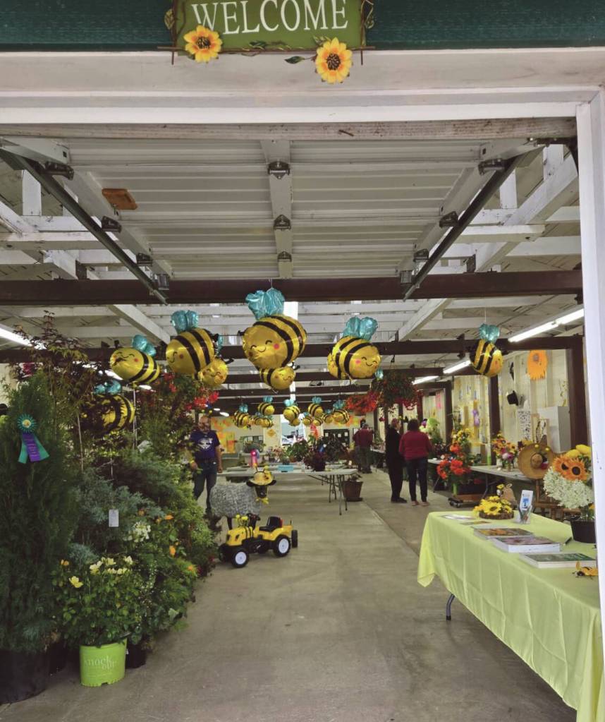The Bogachiel Garden Club was in charge of the Clallam County Fair Flower Barn this year. Photo Clallam County Fair