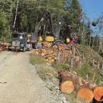 To a turn coming in on the landing for a waiting trucker ….