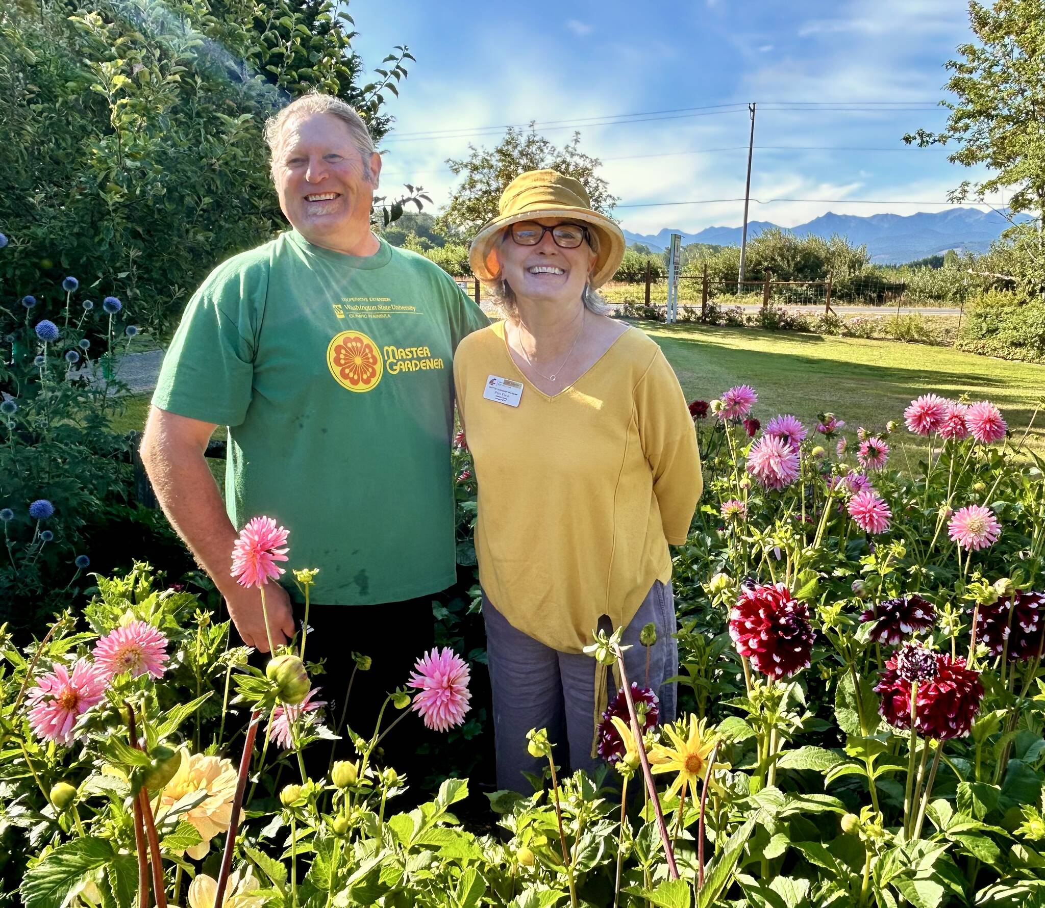 Photo by Susan Kalmar
Clallam County Master Gardeners Pam Pace and Ed Adams amid the dahlias at Woodcock Demonstration Garden in Sequim.