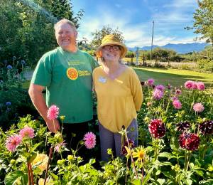Photo by Susan Kalmar
Clallam County Master Gardeners Pam Pace and Ed Adams amid the dahlias at Woodcock Demonstration Garden in Sequim.