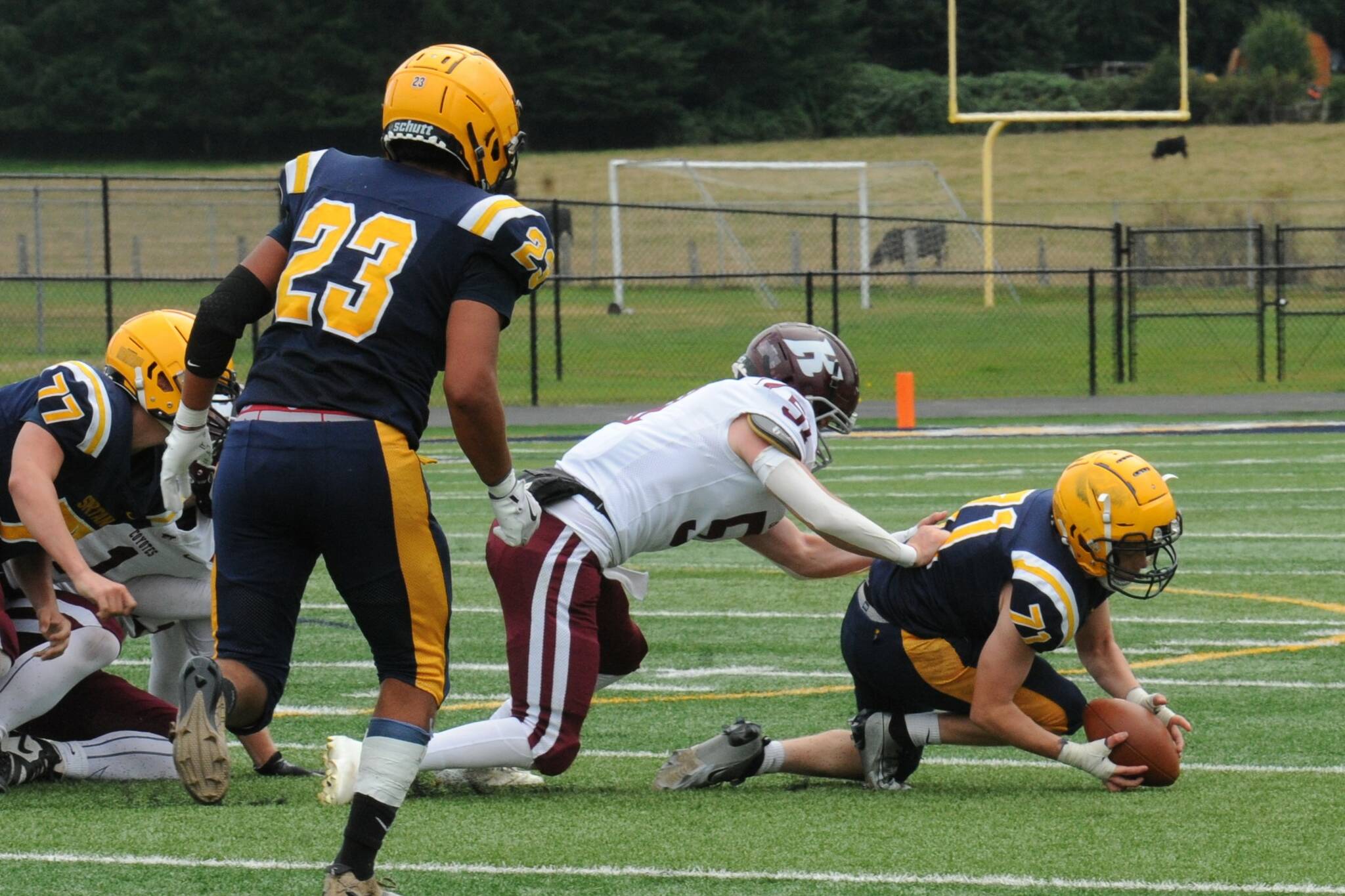 Photo by Lonnie Archibald
Spartan Brodie Fletcher recovered this Kittitas fumble Saturday afternoon at Spartan Stadium, where the short-handed Spartans were bitten hard by the Kittitas Coyotes 41 to 0. Also in on the action are Spartans Landon Thomas (77) and Kaden Ward (23).
