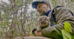 October 30: Olympic Cougar Project with Mark Elbroch, PhD.
