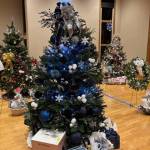 Most Contemporary: Midnight Snowfall
Sponsor: Woodland Inns
Decorated by: Kathy Jacoby and Brook Morales