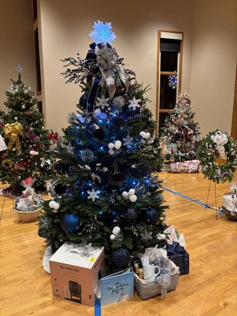 Most Contemporary: Midnight Snowfall
Sponsor: Woodland Inns
Decorated by: Kathy Jacoby and Brook Morales