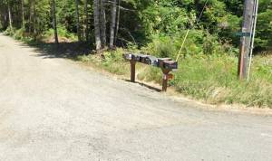 Photo Google Maps
Grouse Glen is located northeast of Forks near MP 209 on Hwy 101.