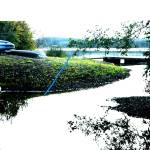 Submitted photos
Lake Creek plugged -blue line indicates where the shore once was.